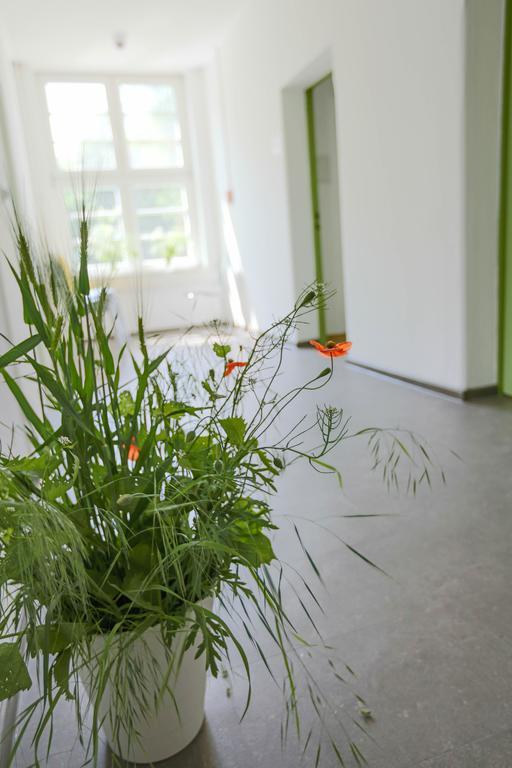 Family Inn Herberge Hildesheim Dış mekan fotoğraf